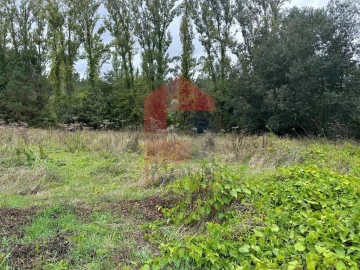 Terreno para Venda em Ribeira do Neiva