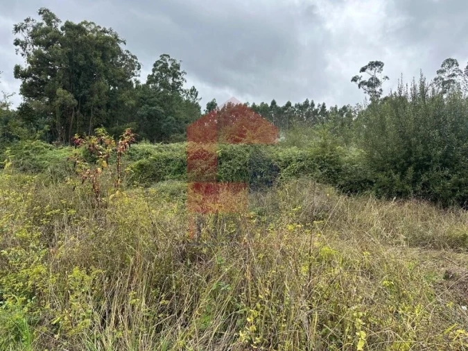 Terreno para Venda em Ribeira do Neiva Foto 5