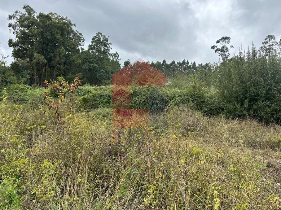 Terreno para Venda em Ribeira do Neiva Foto 5