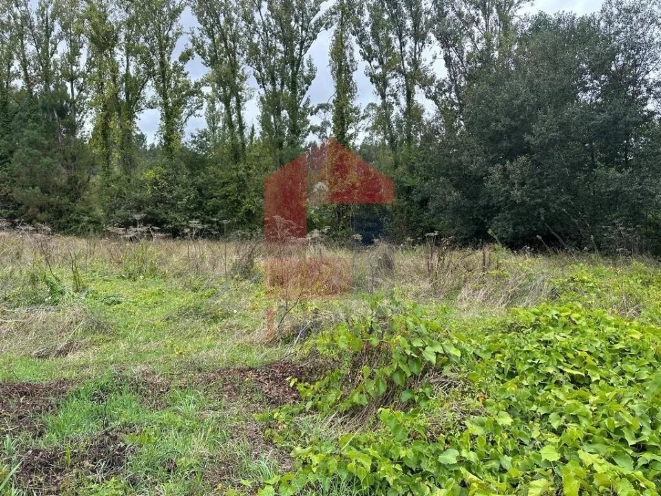 Terreno para Venda em Ribeira do Neiva Foto 10