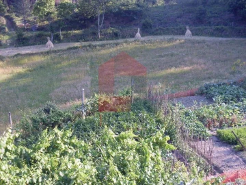 Quinta T3 para Venda em Ribeira do Neiva