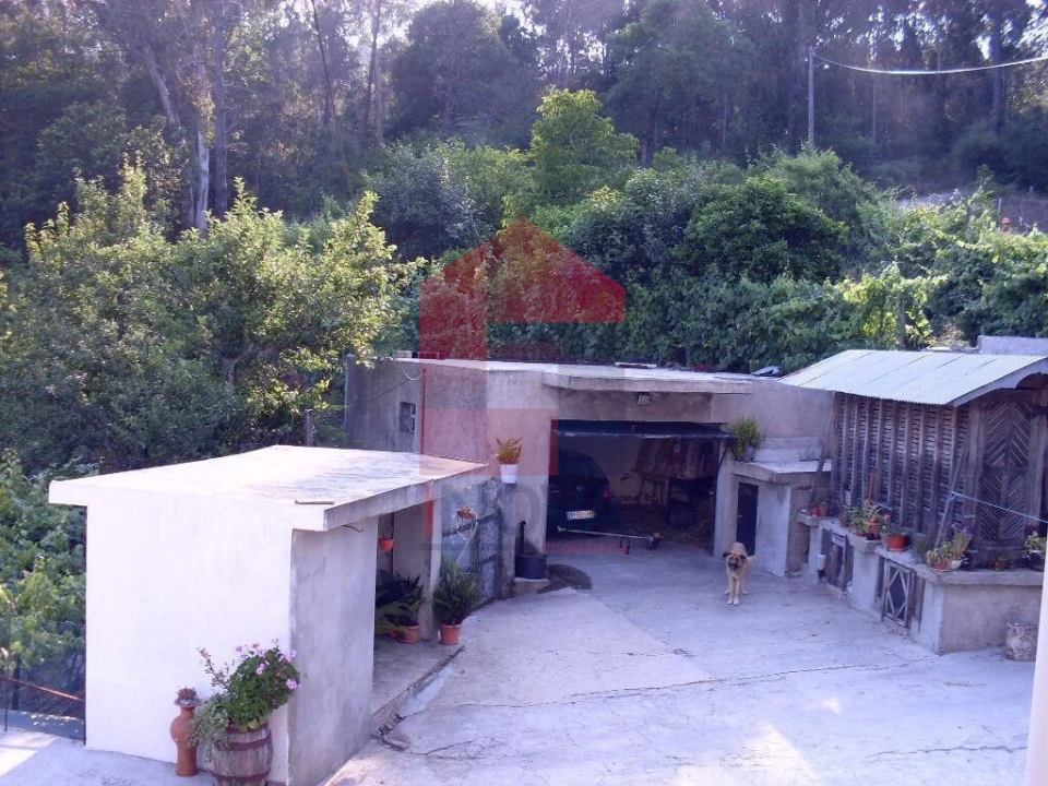 Quinta T3 para Venda em Ribeira do Neiva Foto 8