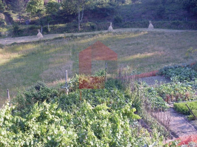 Quinta T3 para Venda em Ribeira do Neiva Foto 9