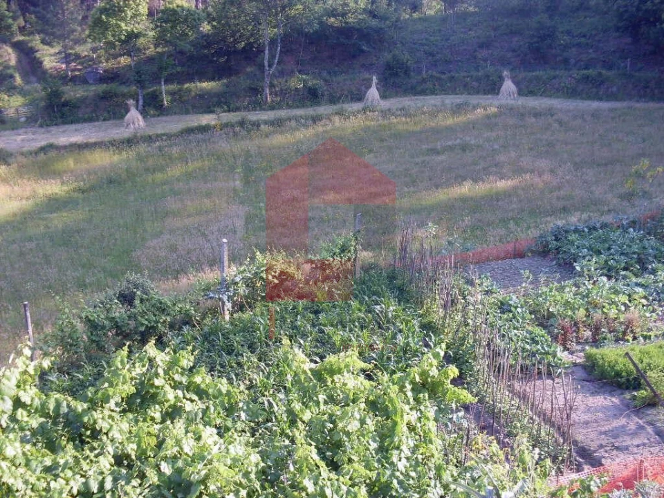 Quinta T3 para Venda em Ribeira do Neiva Foto 9