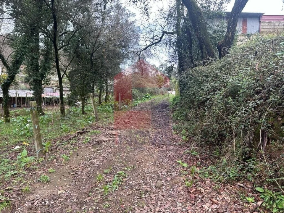 Terreno para Venda em Ribeira do Neiva Foto 16