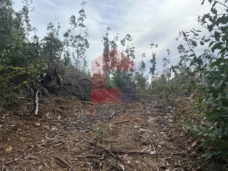 Terreno para Venda em Ribeira do Neiva Foto 3