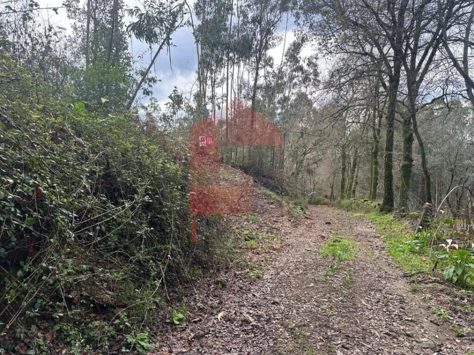 Terreno para Venda em Ribeira do Neiva Foto 15