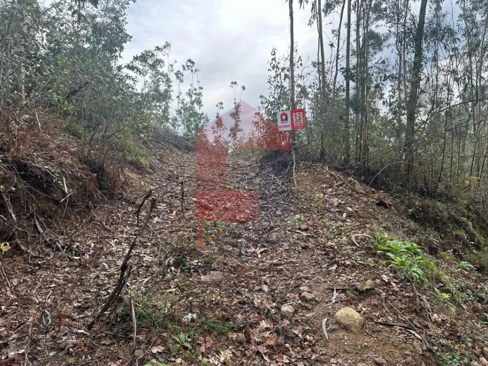 Terreno para Venda em Ribeira do Neiva Foto 2