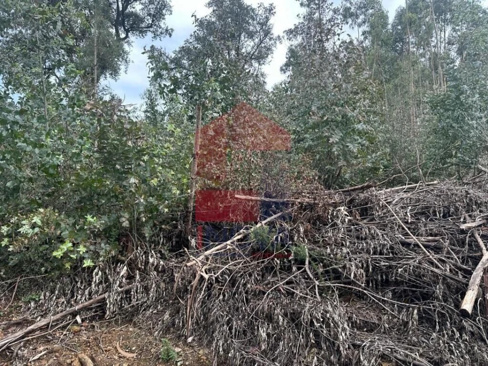 Terreno para Venda em Ribeira do Neiva Foto 7