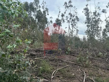 Terreno para Venda em Ribeira do Neiva