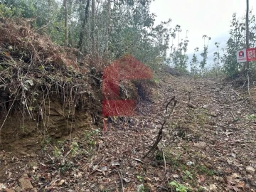 Terreno para Venda em Ribeira do Neiva