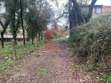 Terreno para Venda em Ribeira do Neiva
