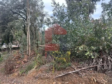 Terreno para Venda em Ribeira do Neiva