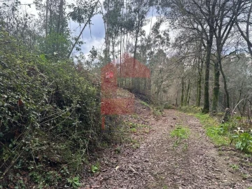 Terreno para Venda em Ribeira do Neiva