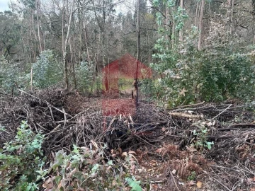 Terreno para Venda em Ribeira do Neiva