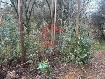 Terreno para Venda em Ribeira do Neiva