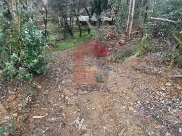 Terreno para Venda em Ribeira do Neiva