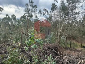 Terreno para Venda em Ribeira do Neiva