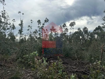 Terreno para Venda em Ribeira do Neiva
