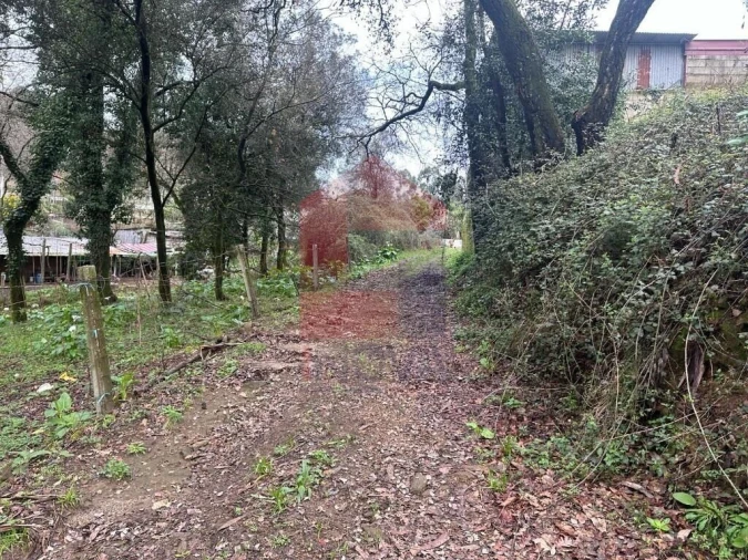 Terreno para Venda em Ribeira do Neiva Foto 16