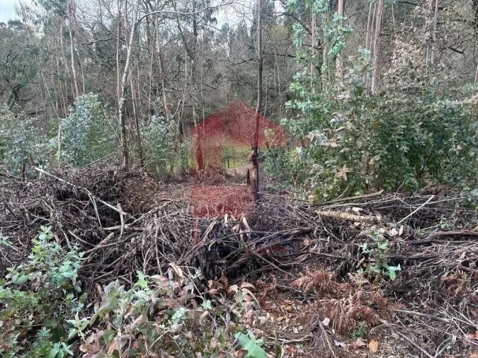 Terreno para Venda em Ribeira do Neiva Foto 13