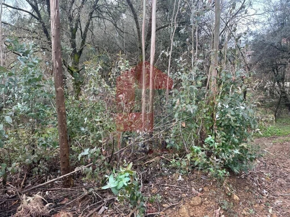 Terreno para Venda em Ribeira do Neiva Foto 9