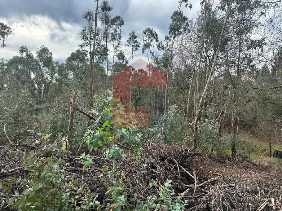 Terreno para Venda em Ribeira do Neiva Foto 12