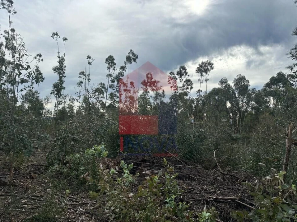 Terreno para Venda em Ribeira do Neiva Foto 11