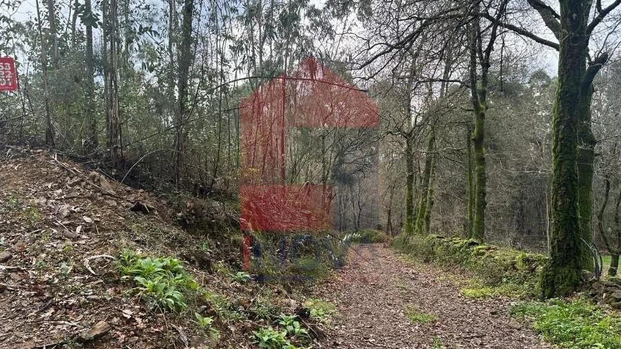 Terreno para Venda em Ribeira do Neiva