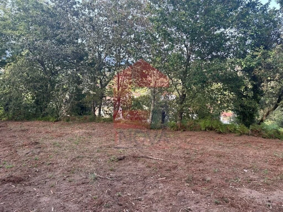 Quinta T0 para Venda em Ribeira do Neiva Foto 11