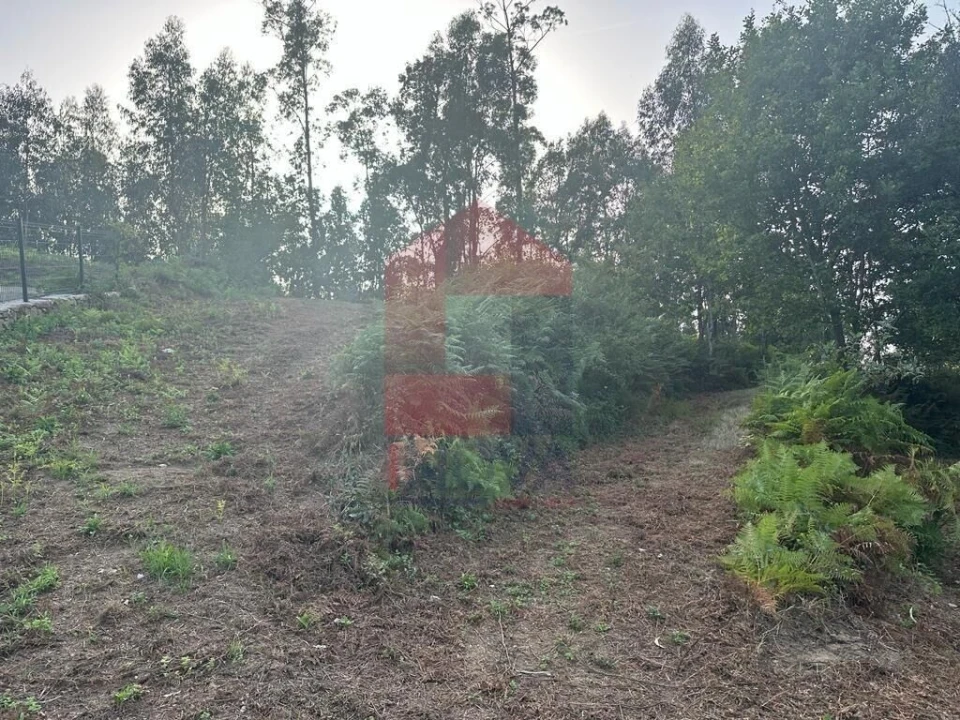 Quinta T0 para Venda em Ribeira do Neiva Foto 3