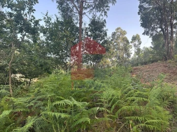 Quinta T0 para Venda em Ribeira do Neiva