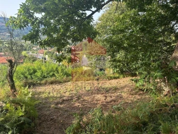 Quinta T0 para Venda em Ribeira do Neiva