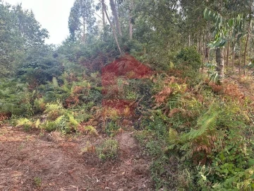 Quinta T0 para Venda em Ribeira do Neiva