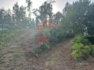 Quinta T0 para Venda em Ribeira do Neiva