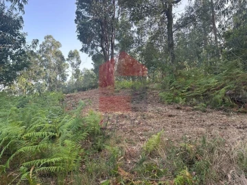 Quinta T0 para Venda em Ribeira do Neiva