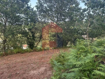 Quinta T0 para Venda em Ribeira do Neiva