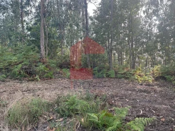 Quinta T0 para Venda em Ribeira do Neiva