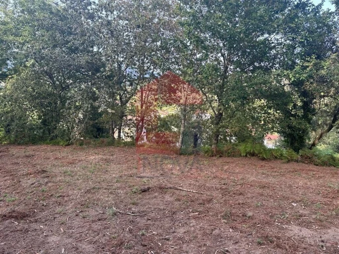 Quinta T0 para Venda em Ribeira do Neiva Foto 11