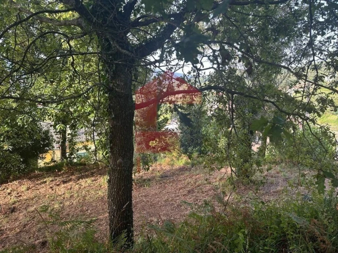 Quinta T0 para Venda em Ribeira do Neiva Foto 13
