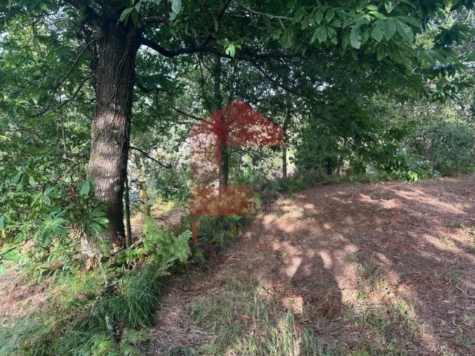 Quinta T0 para Venda em Ribeira do Neiva Foto 18