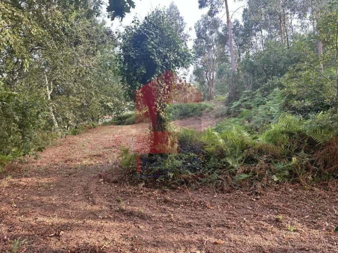 Quinta T0 para Venda em Ribeira do Neiva Foto 14