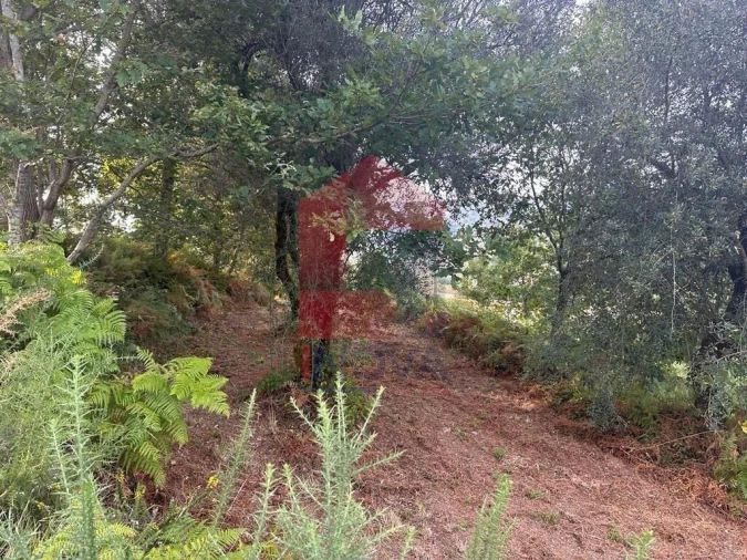 Quinta T0 para Venda em Ribeira do Neiva Foto 9