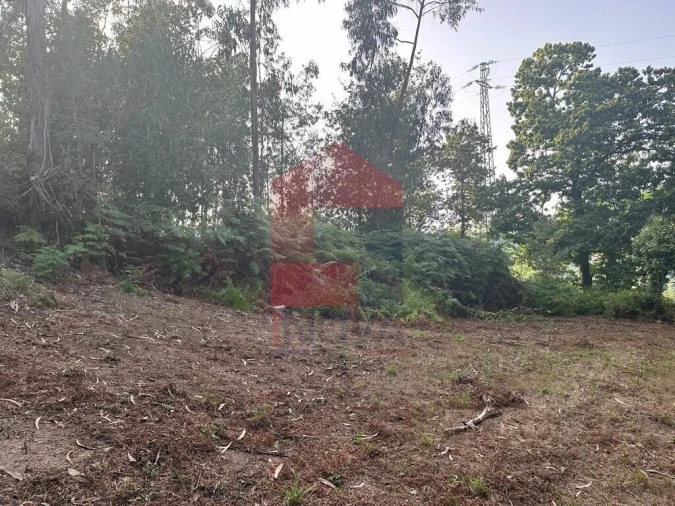 Quinta T0 para Venda em Ribeira do Neiva Foto 6