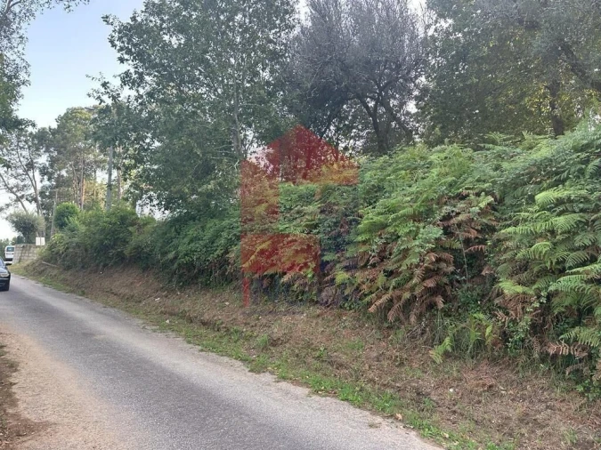 Quinta T0 para Venda em Ribeira do Neiva Foto 20