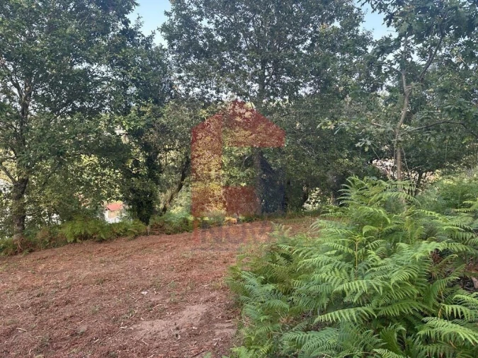 Quinta T0 para Venda em Ribeira do Neiva Foto 10