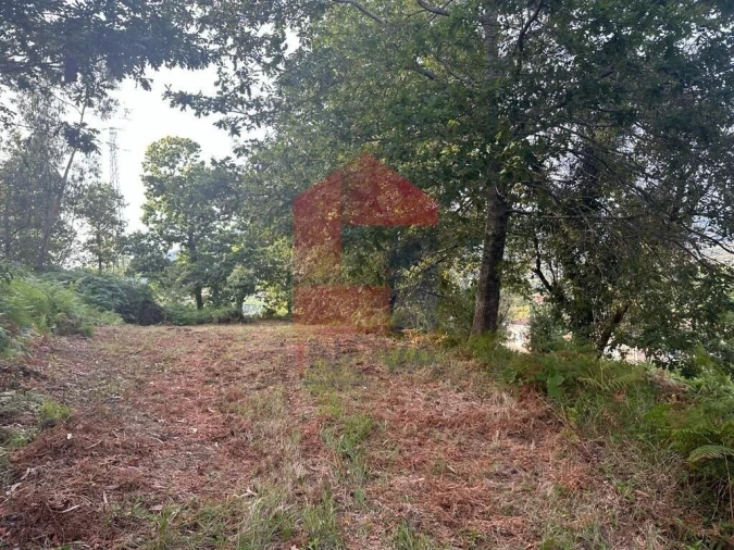 Quinta T0 para Venda em Ribeira do Neiva Foto 5