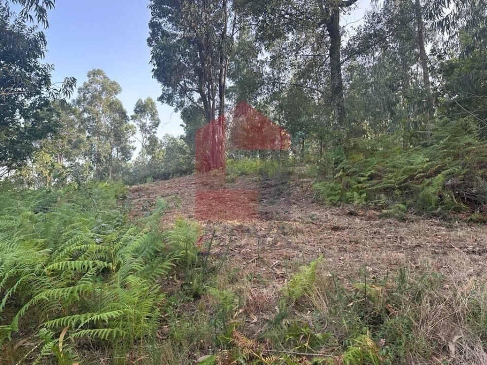 Quinta T0 para Venda em Ribeira do Neiva Foto 7
