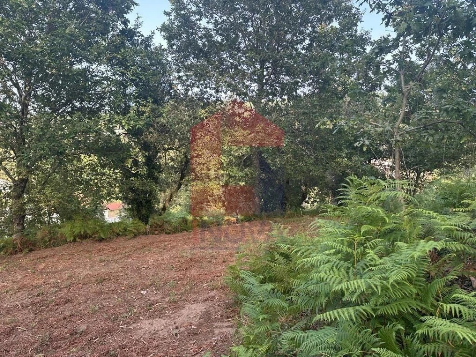 Quinta T0 para Venda em Ribeira do Neiva Foto 10