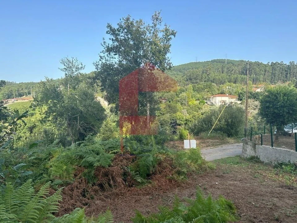 Quinta T0 para Venda em Ribeira do Neiva Foto 4